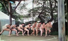 日本スポーツ芸術協会　写真コンクール